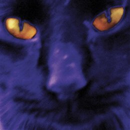 KILGOUR, DAVID AND THE HEAVY EIGHTS - BOBBIES A GIRL - CD