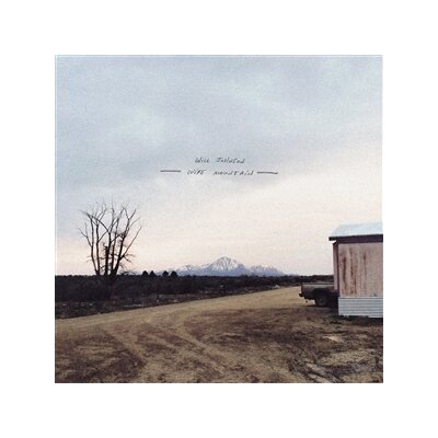 JOHNSON, WILL - WIRE MOUNTAIN - LP