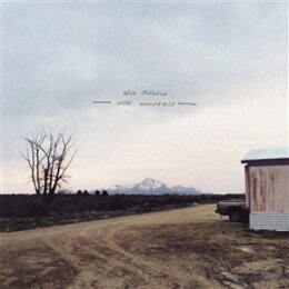 JOHNSON, WILL - WIRE MOUNTAIN - LP
