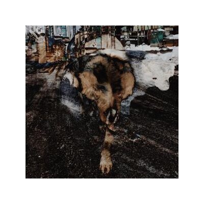 VOLK, JOE & NAIARE - PRIMITIVE ENERGETICS - CD