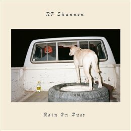 RF SHANNON - RAIN ON DUST - CD