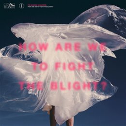 SHAKING SENSATIONS, THE - HOW ARE WE TO FIGHT THE BLIGHT...