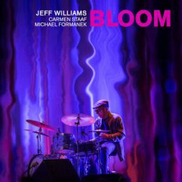 WILLIAMS, JEFF - BLOOM - DELUXE EDITION - LPD