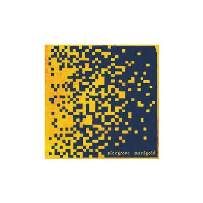 PINEGROVE - MARIGOLD - LP