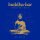 BUDDHA BAR PRESENTS/VARIOUS - BUDDHA-BAR GREATEST HITS BY RAVIN - CD