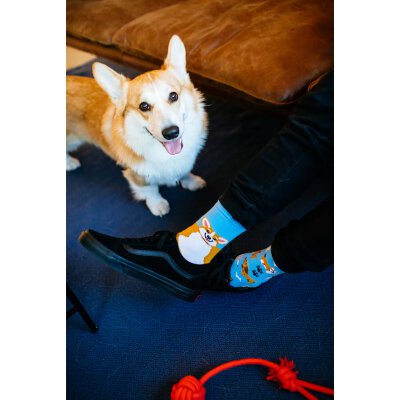 Many Mornings Socks - Playful Dog - Socken