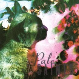 PALE SAINTS - THE COMFORTS OF MADNESS 30TH ANNIVERSARY...