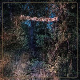 EYELIDS, THE - THE ACCIDENTAL FALLS - CD