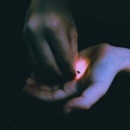 BAMBARA - STRAY - CD