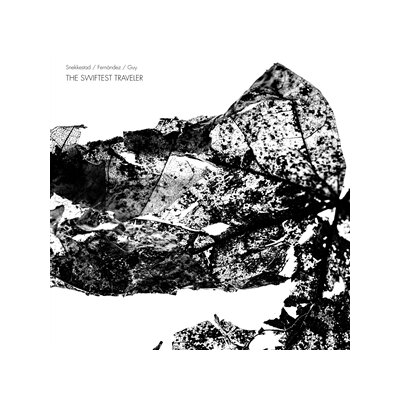 SNEKKESTAD/FERNANDEZ/GUY - THE SWIFTED TRAVELER - CD