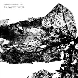 SNEKKESTAD/FERNANDEZ/GUY - THE SWIFTED TRAVELER - CD