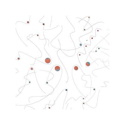 OOIOO - NIJIMUSI - CRYSTAL CLEAR - LPD