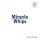 MIRACLE WHIPS - THE ART OF FACTS - LP
