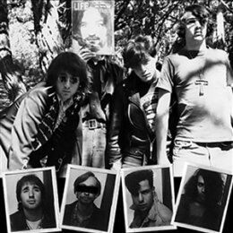 DWARVES - LICK IT 1983-86: LIMITED EDITION - LP