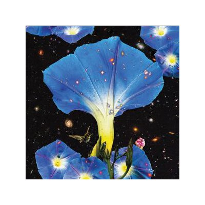 LOUISE, SARAH - NIGHTTIME BIRDS AND MORNING STARS - LPD