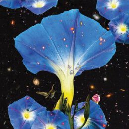 LOUISE, SARAH - NIGHTTIME BIRDS AND MORNING STARS - LPD