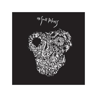 SKULL DEFECTS, THE (FEAT. DANIEL HIGGS & ZOMES) - THE SKULL DEFECTS - LPD