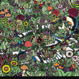 OOZING WOUND - WHATEVER FOREVER - CD