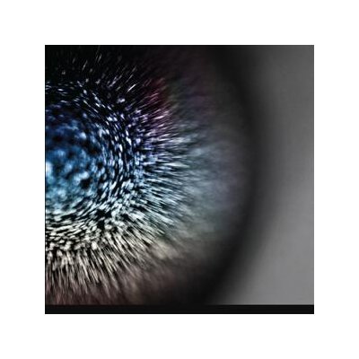 EMPTYSET - BLOSSOMS - LPD