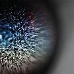 EMPTYSET - BLOSSOMS  (CLEAR VINYL) - LPD