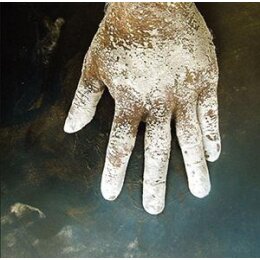 WREKMEISTER HARMONIES - NIGHT OF YOUR ASCENSION - LPD