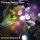 THOLLEM /PARKER - GOWANUS SESSIONS II - LP