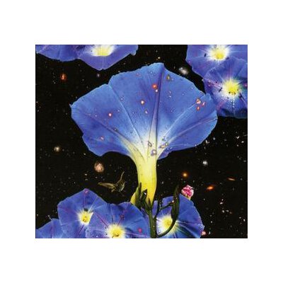 LOUISE, SARAH - NIGHTTIME BIRDS AND MORNING STARS - PINK VINYL - LPD