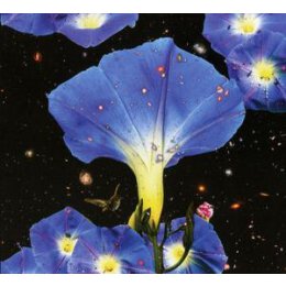 LOUISE, SARAH - NIGHTTIME BIRDS AND MORNING STARS - PINK...