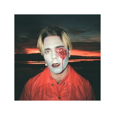 CHOIR BOY - GATHERING SWANS - CD