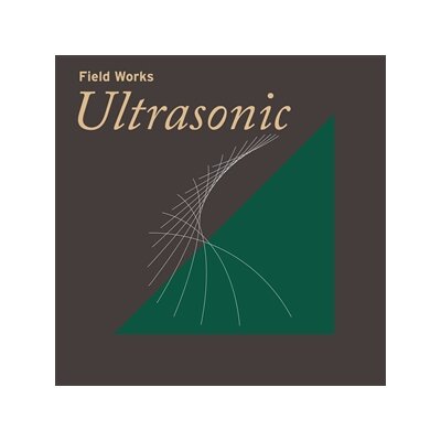 VARIOUS - FIELD WORKS: ULTRASONIC - LP