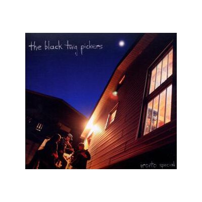 BLACK TWIG PICKERS, THE - IRONTO SPECIAL - LP