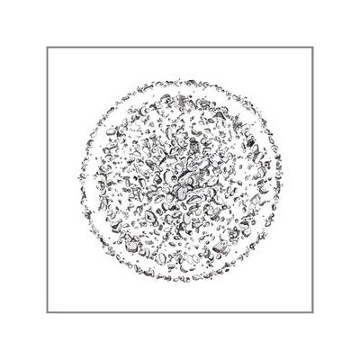 GOLDEN RETRIEVER - OCCUPIED WITH THE UNSPOKEN - LPD