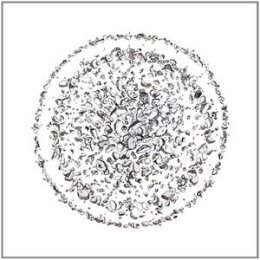 GOLDEN RETRIEVER - OCCUPIED WITH THE UNSPOKEN - LPD