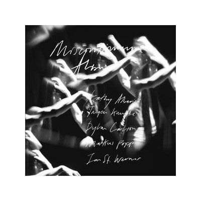 ST.WERNER, JAN (MOUSE ON MARS) - MISCONTINUUM ALBUM - LP