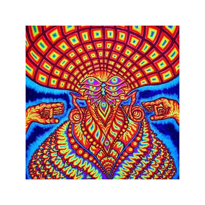 DREAM SYNDICATE, THE - THE UNIVERSE INSIDE - CD