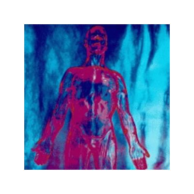 NIRVANA - SLIVER | DIVE - 7"