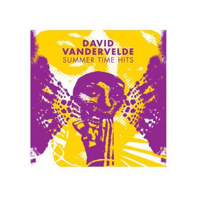 VANDERVELDE, DAVID - SUMMER TIME HITS - 12"