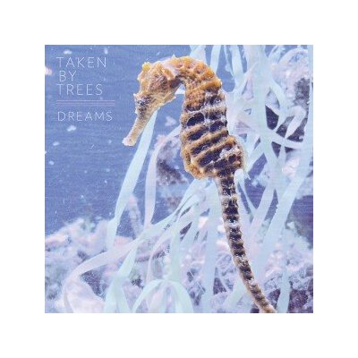 TAKEN BY TREES - DREAMS EP - 12"