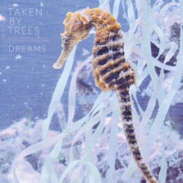 TAKEN BY TREES - DREAMS EP - 12"