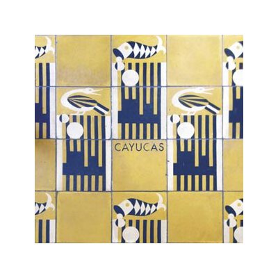 CAYUCAS - CAYUCOS / SWIMSUIT - 7"