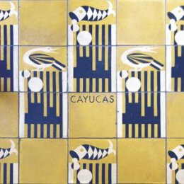 CAYUCAS - CAYUCOS / SWIMSUIT - 7"