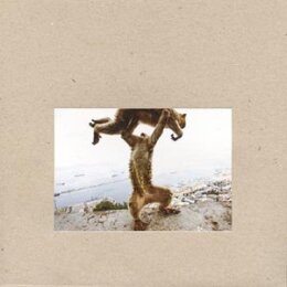 SHELLAC - DUDE INCREDIBLE - LP
