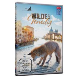 DOKUMENTATION - WILDES VENEDIG - DVM