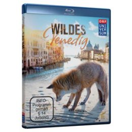 DOKUMENTATION - WILDES VENEDIG - BRM