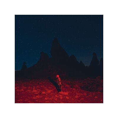 BRIDGERS, PHOEBE - PUNISHER - LP