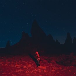 BRIDGERS, PHOEBE - PUNISHER - CD