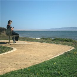 DISHEVELED CUSS - DISHEVELED CUSS - LP