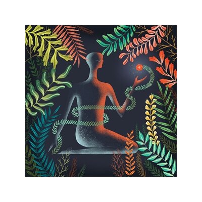 LOMA - DONT SHY AWAY - LP