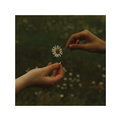 GOLDMUND - THE TIME IT TAKES - CD