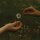 GOLDMUND - THE TIME IT TAKES - CD